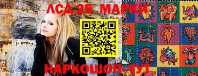 СК Камень-на-Оби