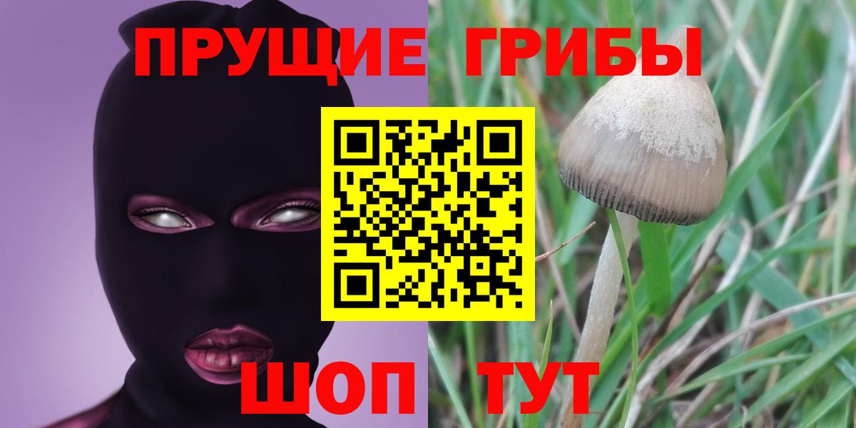 что такое наркотик  Галлюциногенные грибы Cubensis  Вход с VPN  Псилоцибиновые грибы Psilocybine cubensis  Бахчисарай 